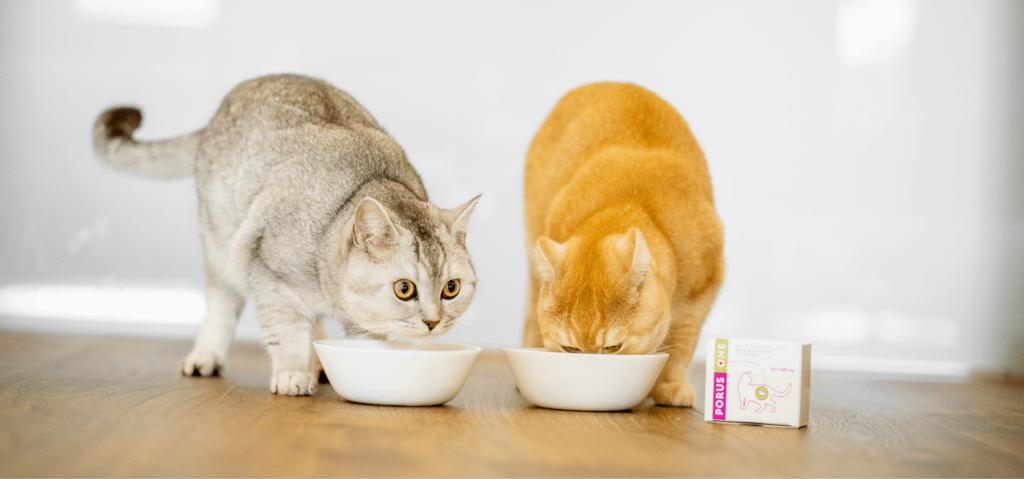 Cats eating food containing Porus One supplement
